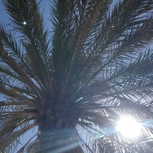 Meet your Posher, Kaci